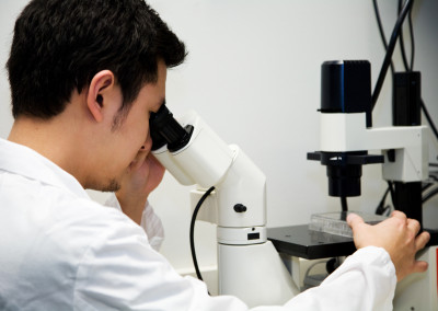 Working scientist